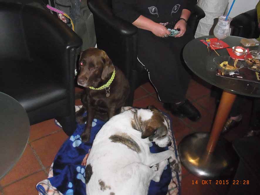 Deckenpiraten2 - Barnie probiert's auch.jpg (886 x 665)